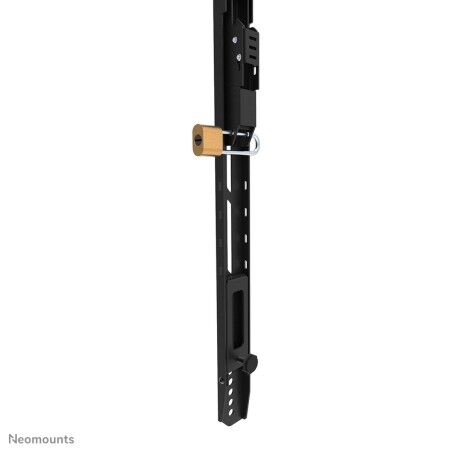 Supporto TV Neomounts WL30-750BL18 43"