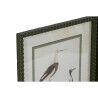 Quadro Home ESPRIT Uccelli Cottage 40 x 2,5 x 54 cm (6 Unità)