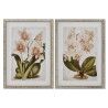 Quadro Home ESPRIT Tropicale Orchidea 50 x 2,5 x 70 cm (2 Unità)