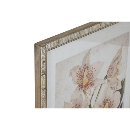 Quadro Home ESPRIT Tropicale Orchidea 50 x 2,5 x 70 cm (2 Unità)