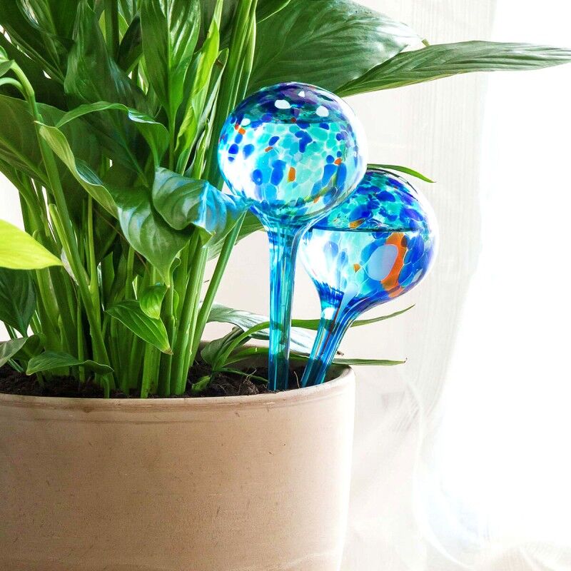 Palline di Irrigazione Automatica Aqua·Loon InnovaGoods 2 Unità Palline di Irrigazione Automatica Aqua·Loon InnovaGoods 2 Unità