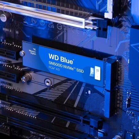 Hard Disk Western Digital WDS500G4B0E 500 GB SSD