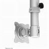 Supporto TV Neomounts FPMA-C025SILVER 10" 30" 12 kg