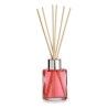 Bastoncini Profumati Acorde 5387 F Fragola 30 ml (12 Unità)