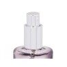 Diffusore Spray Per Ambienti Acorde C-519 Bambù Gelsomino 70 ml (12 Unità)