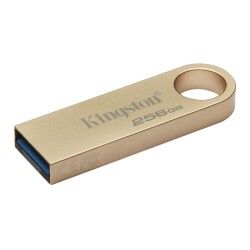 Memoria USB Kingston DTSE9G3/256GB 256 GB Dorato