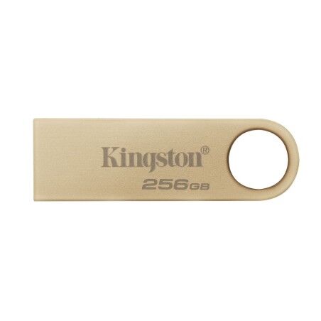 Memoria USB Kingston DTSE9G3/256GB 256 GB Dorato