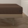 Lenzuolo con angoli aderenti Happy Home Marrone Piazza e mezza