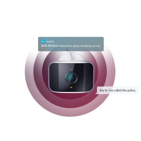 Videocamera di Sorveglianza D-Link DCS-8620LH