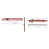 Ombrellone Corallo 180 cm UPF 50+