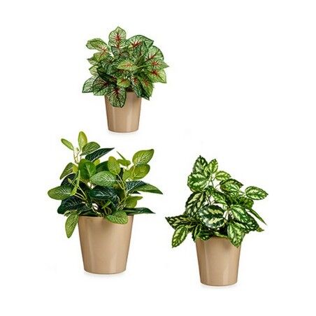 Set di Vasi Ibergarden LINCE PQ - TOPO Beige Argilla (6 Unità)