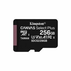 Scheda Micro SD Kingston SDCS2/256GBSP 256GB