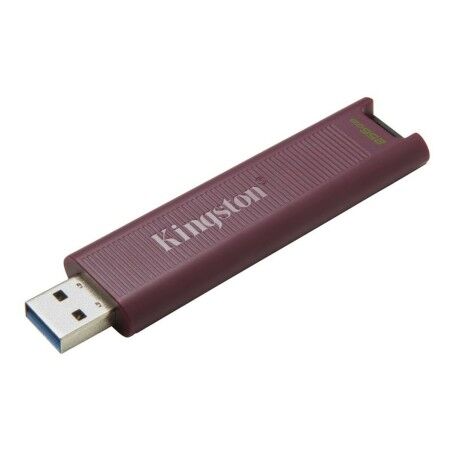 Memoria USB Kingston DTMAXA/256GB 256 GB