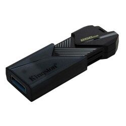 Memoria USB Kingston DTXON/256GB 256 GB