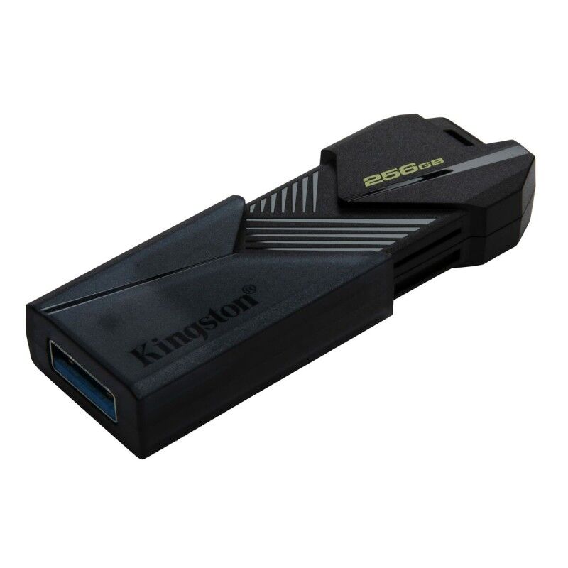 Memoria USB Kingston DTXON/256GB 256 GB Memoria USB Kingston DTXON/256GB 256 GB