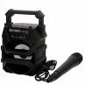 Altoparlante Bluetooth con Microfono Karaoke Colorbaby