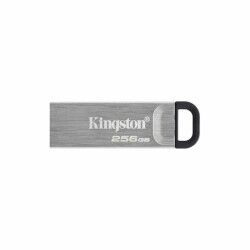Pendrive Kingston DTKN/256GB USB 3.2 Argentato Nero 256 GB