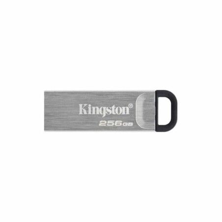 Pendrive Kingston DTKN/256GB USB 3.2 Argentato Nero 256 GB