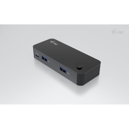 Switch KVM i-Tec CAKVMHUB2A2C 1 m