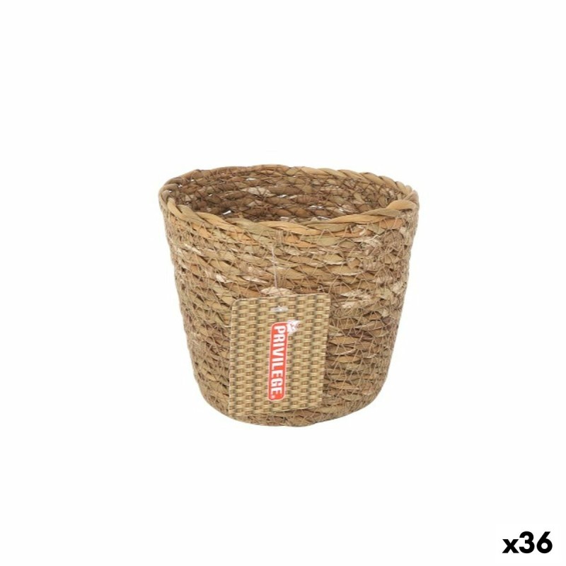 Cestino Multiuso Privilege Marrone vimini Rotonda ø 12 x 11 cm (36 Unità) Cestino Multiuso Privilege Marrone vimini Rotonda ø 12 x 11 cm (36 Unità)