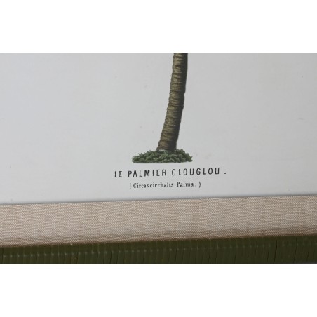 Quadro Home ESPRIT Verde Beige Palme Tropicale 50 x 2,5 x 70 cm (4 Unità)