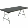 Tavolo Pieghevole Lifetime 182 x 73,5 x 76 cm 6 persone Rettangolare Acciaio Plastica