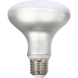 Lampadina LED Silver Electronics R90 E27 Bianco Grigio A++ 12 W (5000 K)