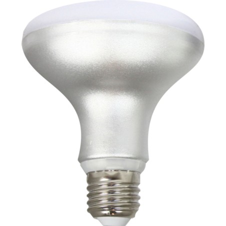 Lampadina LED Silver Electronics R90 E27 Bianco Grigio A++ 12 W (5000 K)