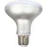 Lampadina LED Silver Electronics R90 E27 Bianco Grigio A++ 12 W (5000 K)