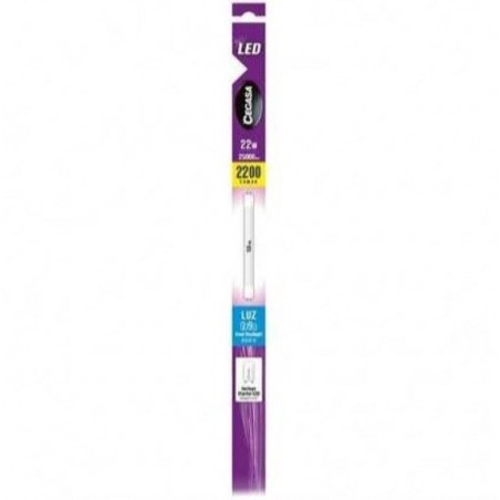 Lampadina LED Cegasa
