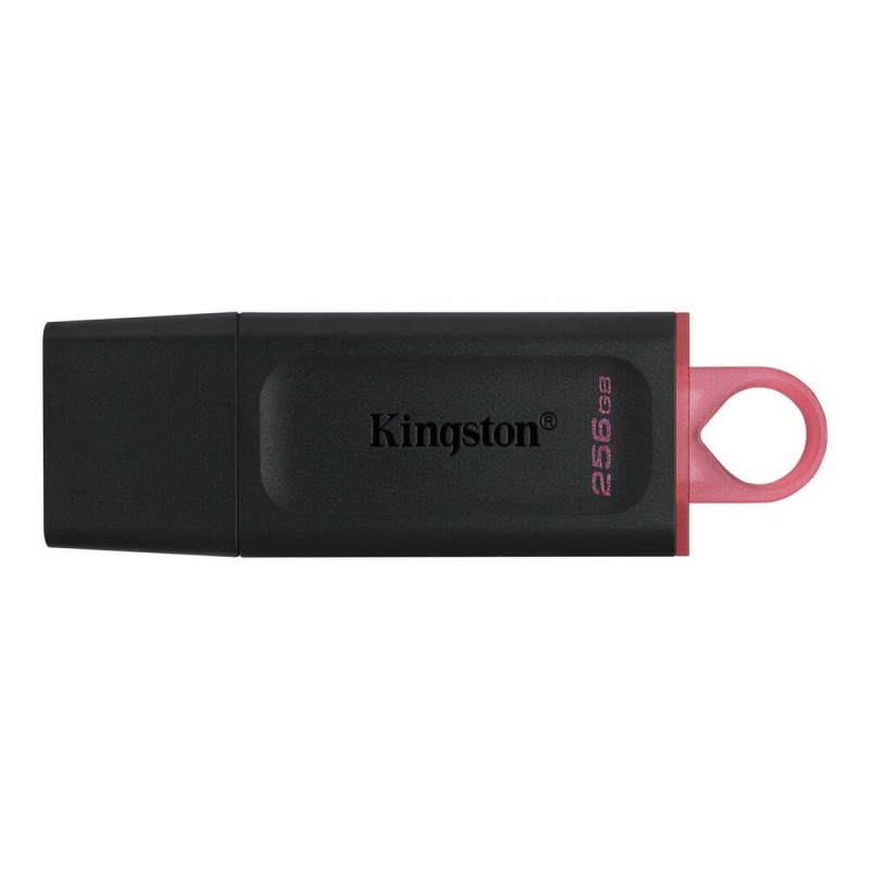 Memoria USB Kingston DTX/256GB Portachiavi Nero 256 GB Memoria USB Kingston DTX/256GB Portachiavi Nero 256 GB
