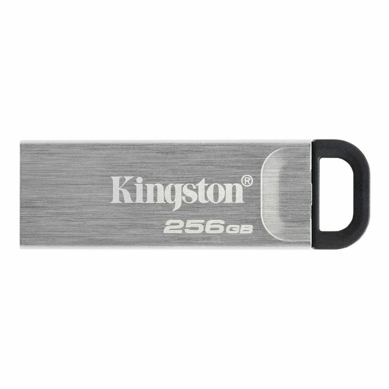 Memoria USB Kingston Nero 256 GB Memoria USB Kingston Nero 256 GB