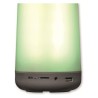 Altoparlante Bluetooth Denver Electronics 111151010720 5 W Bluetooth LED RGB