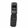 Cellulare per anziani Panasonic KX-TU446EXG 2,4"