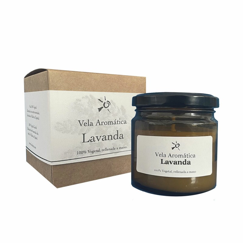 Deodorante per Ambienti Focdenit VELA FOCDENIT (1 Unità) Deodorante per Ambienti Focdenit VELA FOCDENIT (1 Unità)