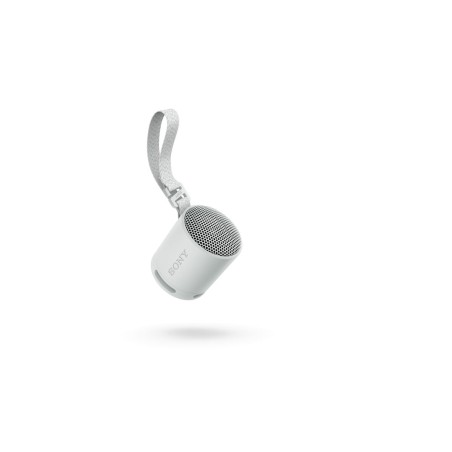 Altoparlante Bluetooth Portatile Sony SRSXB100H.CE7 Grigio