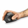 Mouse NGS