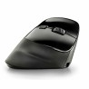 Mouse NGS