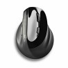 Mouse NGS