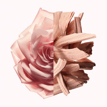 Profumo Donna Givenchy IRRESISTIBLE NUDE VELVET EDP 50 ml