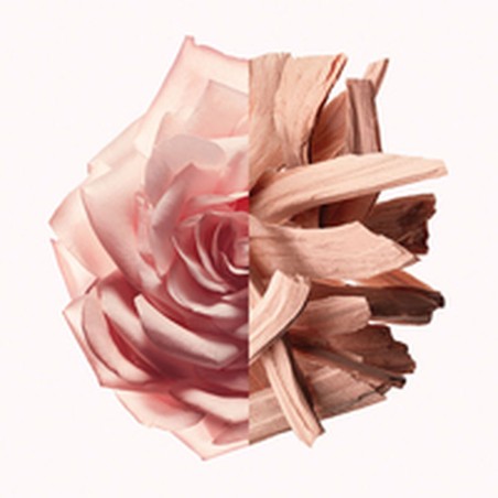 Profumo Donna Givenchy IRRESISTIBLE NUDE VELVET EDP 50 ml