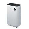 Deumidificatore Whirlpool Corporation DE20W5252