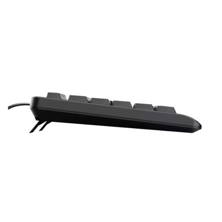Tastiera Trust 24639 Nero Inglese EEUU QWERTY