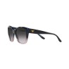 Occhiali da sole Donna Emporio Armani EA 4198