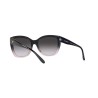 Occhiali da sole Donna Emporio Armani EA 4198