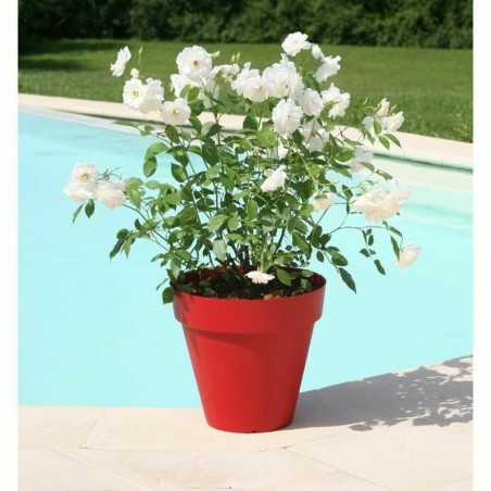 Vaso Riviera Soleilla 60 x 54 cm Rosso Intenso Rotondo Rotonda Ø 60 x 53,6 cm