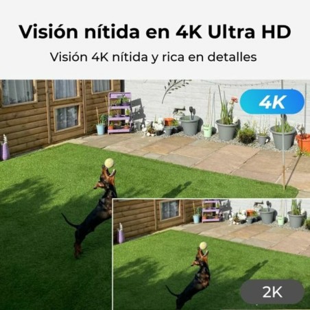 Videocamera di Sorveglianza Reolink P330
