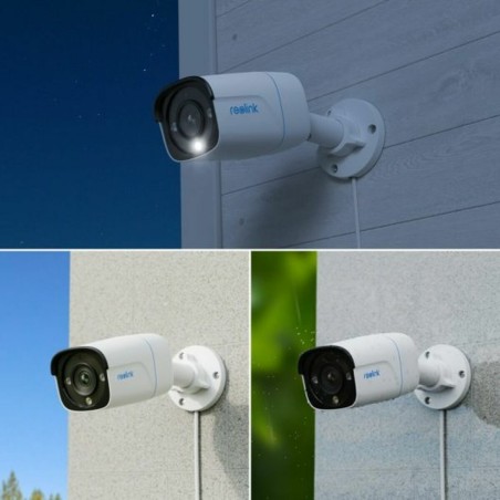 Videocamera di Sorveglianza Reolink P330