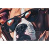 Quadro Home ESPRIT Azzurro Marrone Rosso Moderno Cane 50 x 3,5 x 50 cm (2 Unità)