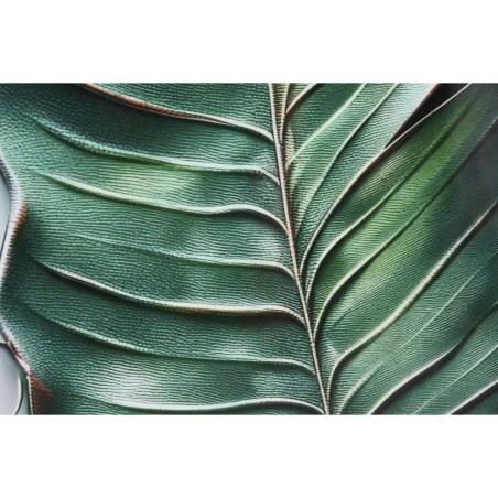 Quadro Home ESPRIT Verde Palme Tropicale 80 x 3,5 x 120 cm (2 Unità)
